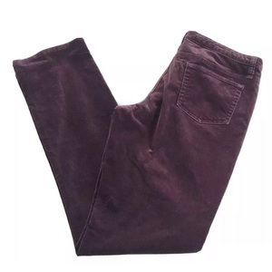 Sundance Catalog Day & Night Velveteen Jeans